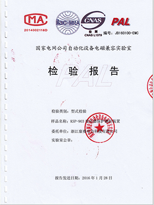 綜保檢驗(yàn)報告3