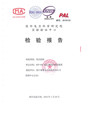 綜保檢驗(yàn)報告4